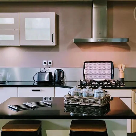 Maison Avec Grand Jardin Clos, Baby-foot, Barbecue, Garage, Wi-fi - Calme Et Confort En Flandre - Fr-1-510-221